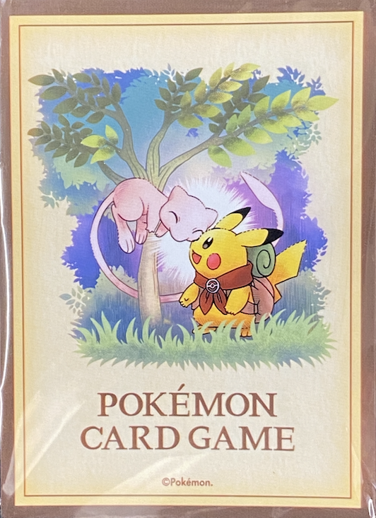 PIKACHU ADVENTURE PIKACHU&MEW