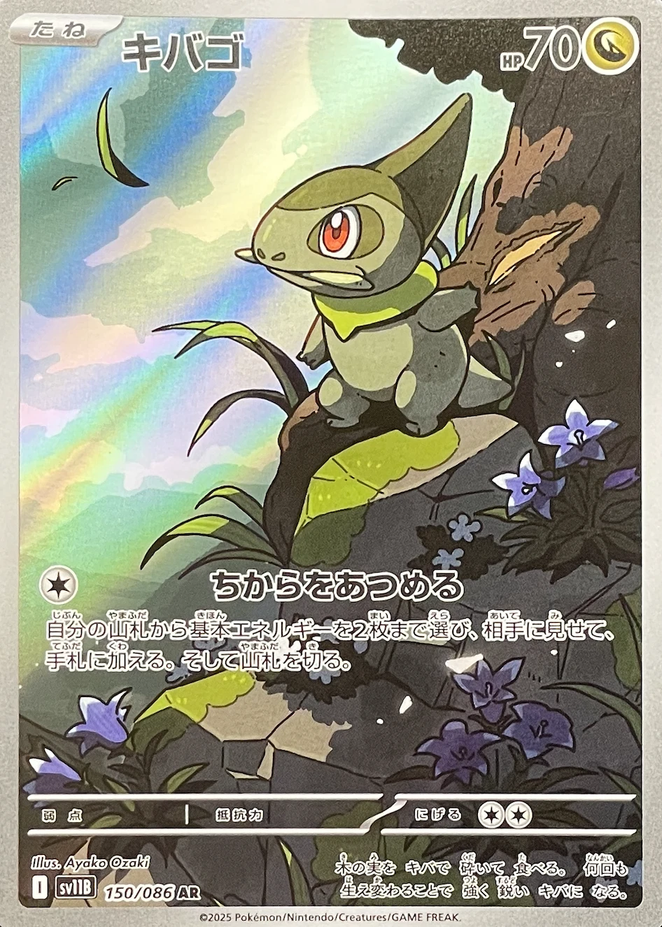 キバゴ
