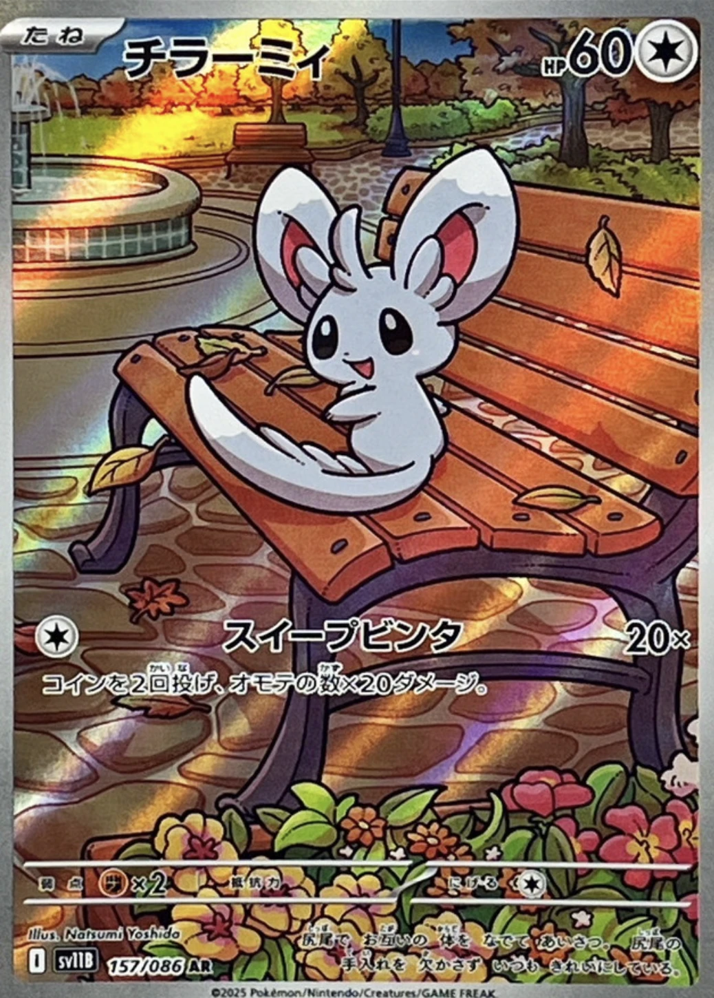 チラーミィ