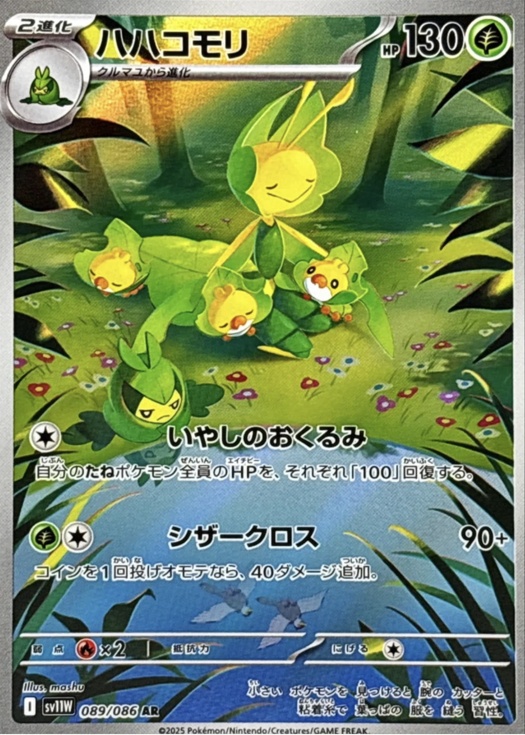 ハハコモリ