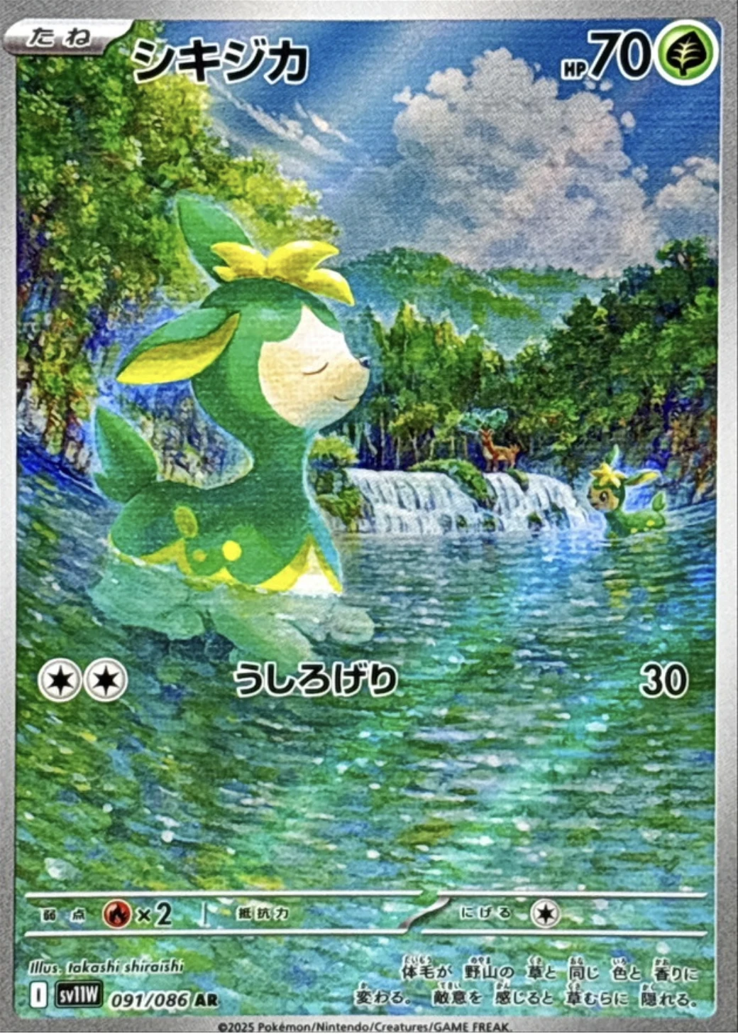 シキジカ