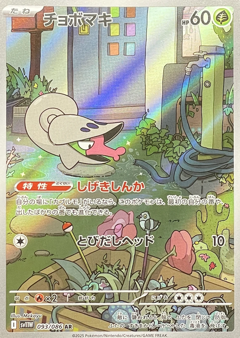 チョボマキ
