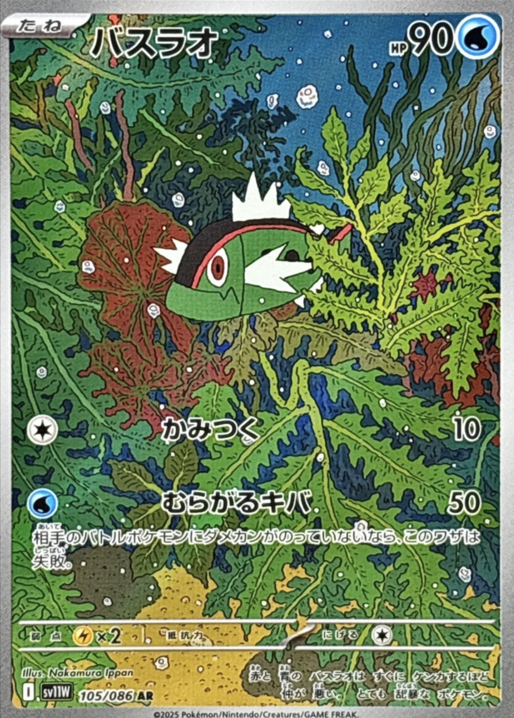 バスラオ