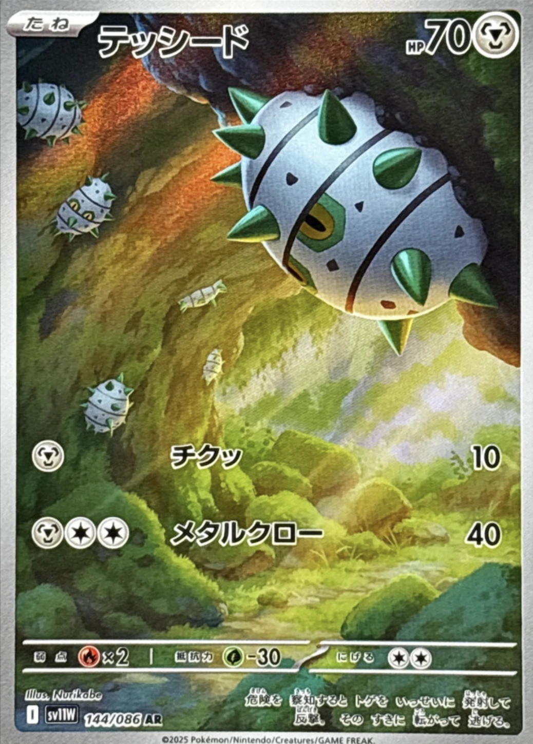 テッシード