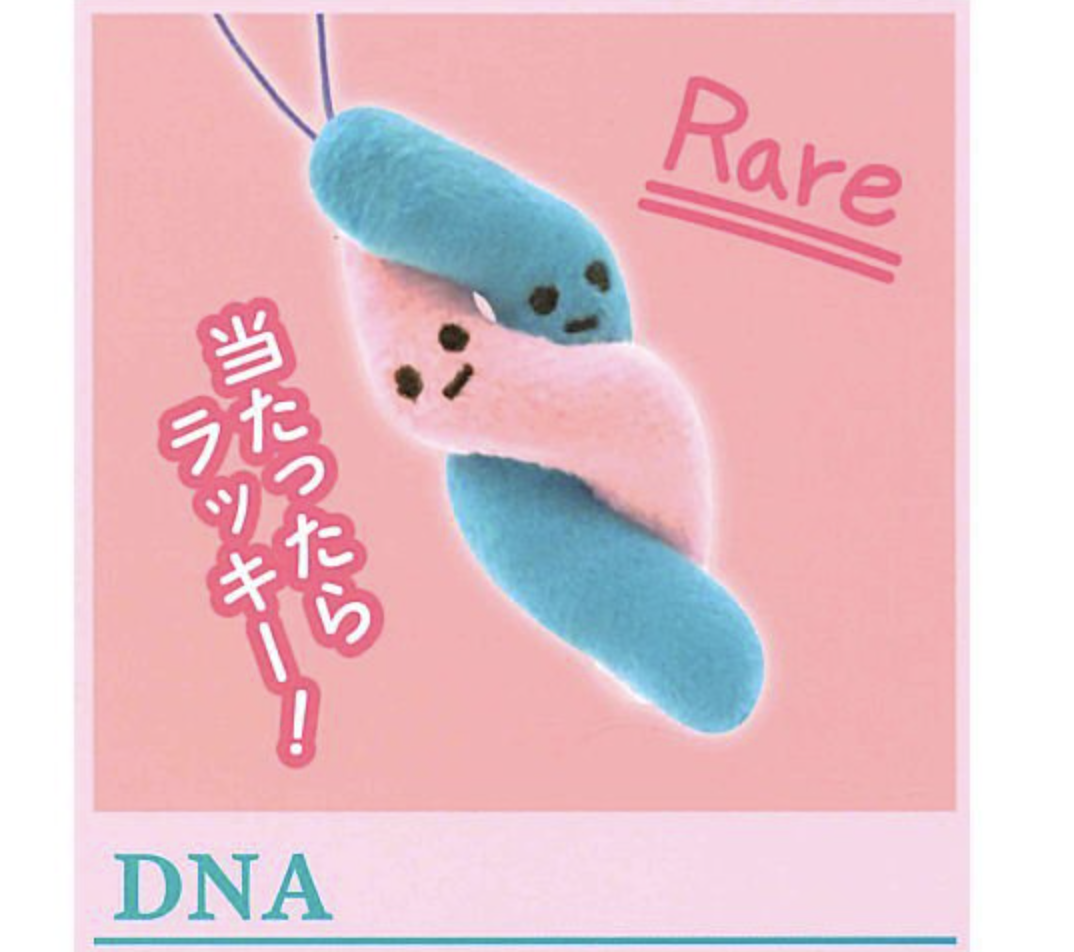 【ないぞうくんとさいぼうちゃん。】DNA