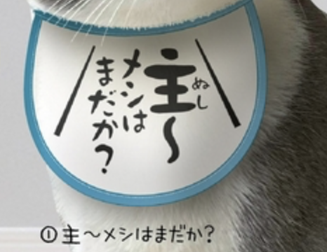 【にゃんこスタイ】主〜メシはまだか?