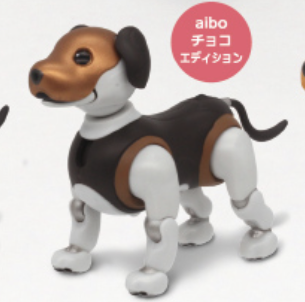 【aibo】チョコエディション