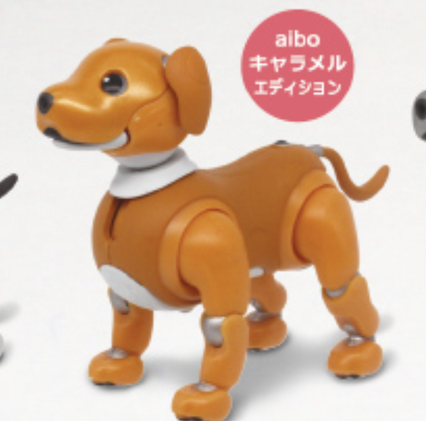 【aibo】キャラメルエディション