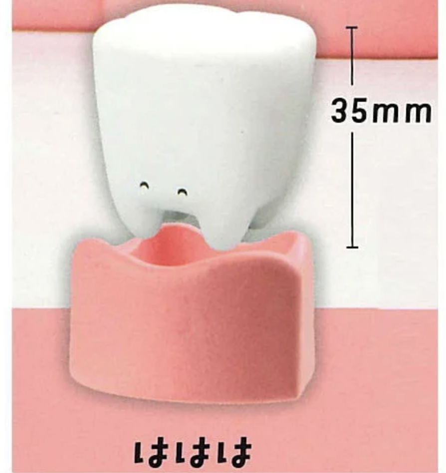 【こんにち歯】ははは