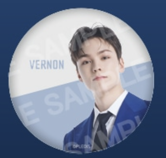 【SEVENTEEN】VERNON