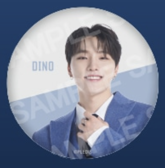 【SEVENTEEN】DINO