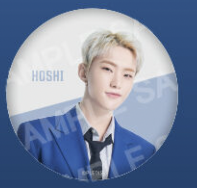 【SEVENTEEN】HOSHI