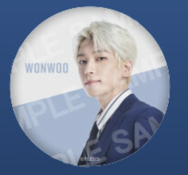 【SEVENTEEN】WONWOO