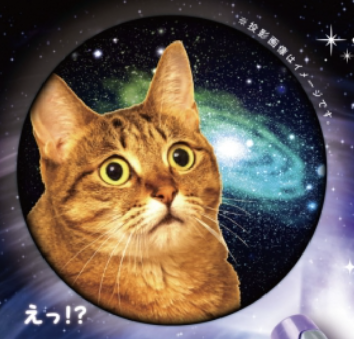 【宇宙の猫】えっ!?