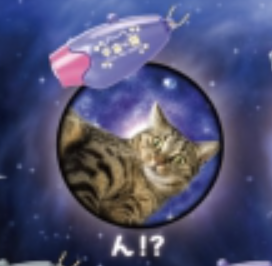 【宇宙の猫】ん!?