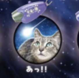 【宇宙の猫】あっ!!