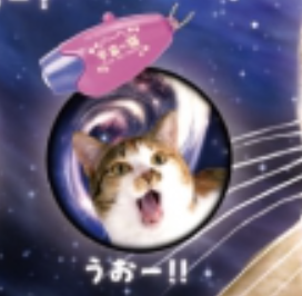 【宇宙の猫】うおー!!