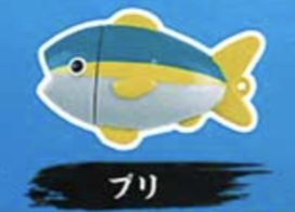 【叫ぶよ!鮮魚くん】ブリ