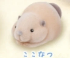 【のせのせ、しようね。】ここなつ