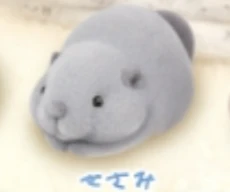 【のせのせ、しようね。】せさみ
