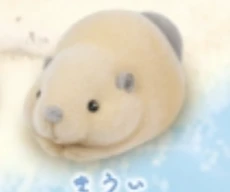 【のせのせ、しようね。】きうい