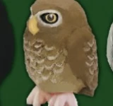 【幸福の梟コレクション】コキンメフクロウA