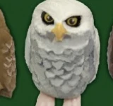 【幸福の梟コレクション】コキンメフクロウB