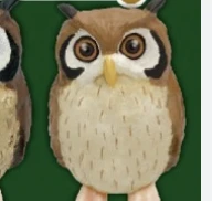 【幸福の梟コレクション】アフリカオオコノハズクC