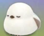 【シマエナガ】シマちゃんおねむ