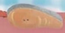 【つぶらな瞳】しゃけ