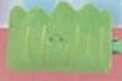 【つぶらな瞳】ばらん