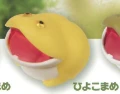 【バジェットガエル】ひよこまめ