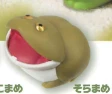 【バジェットガエル】そらまめ