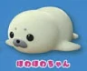 【ほわほわアザラシちゃん】 ほわほわちゃん