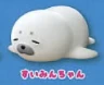 【ほわほわアザラシちゃん】 すいみんちゃん
