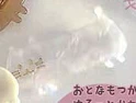 【ぷれーとにゃんこ】 白