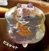 【しゃぼん玉ハムスター】ビスケット