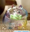 【しゃぼん玉ハムスター】アメ