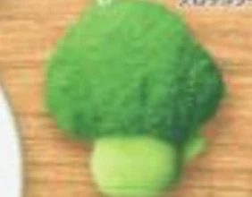 【もちふわ朝食ぬいぐるみ】ブロッコリー