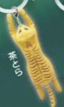 【崖っぷちにゃんこ】茶とら
