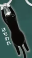 【崖っぷちにゃんこ】はちわれ