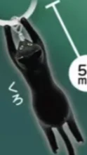 【崖っぷちにゃんこ】くろ