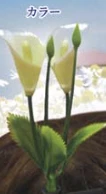 【草生えてて草】カラー