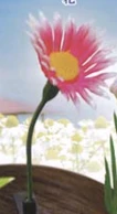 【草生えてて草】花