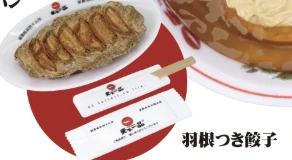 【天下一品】羽根つき餃子