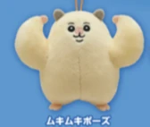 【ムキムキのハムちゃん】ムキムキポーズ