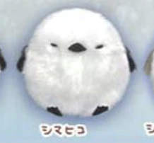 【シマエナガ】シマヒコ